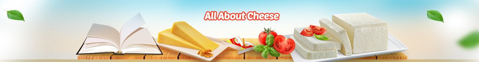 All About Cheese