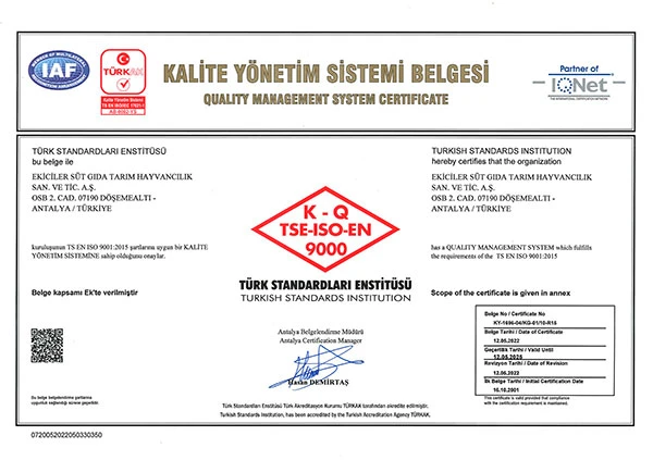 Kalite Yönetim Sistemi 9001
